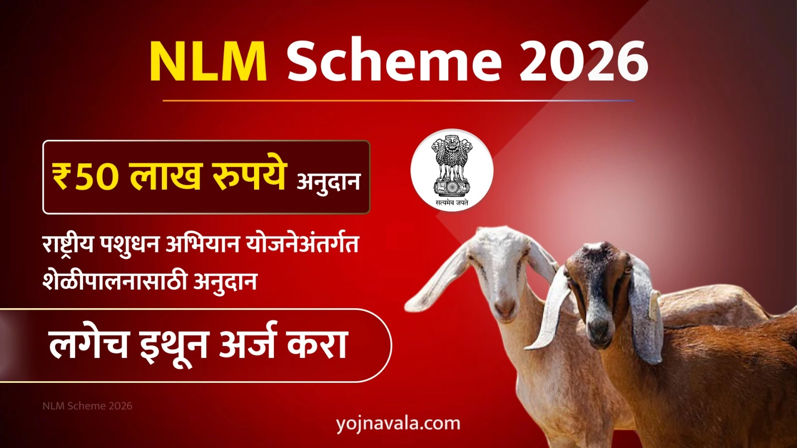 NLM Scheme 2026